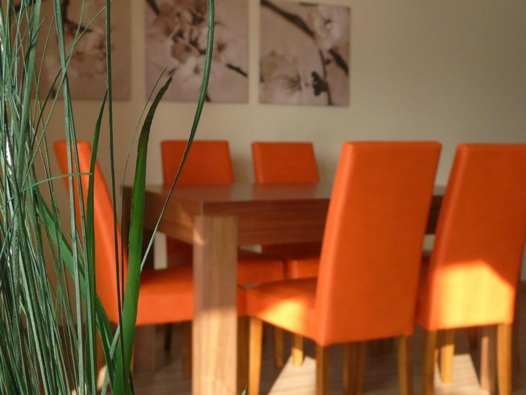 Apartamenty Wislany Brzeg Ustron Exterior foto